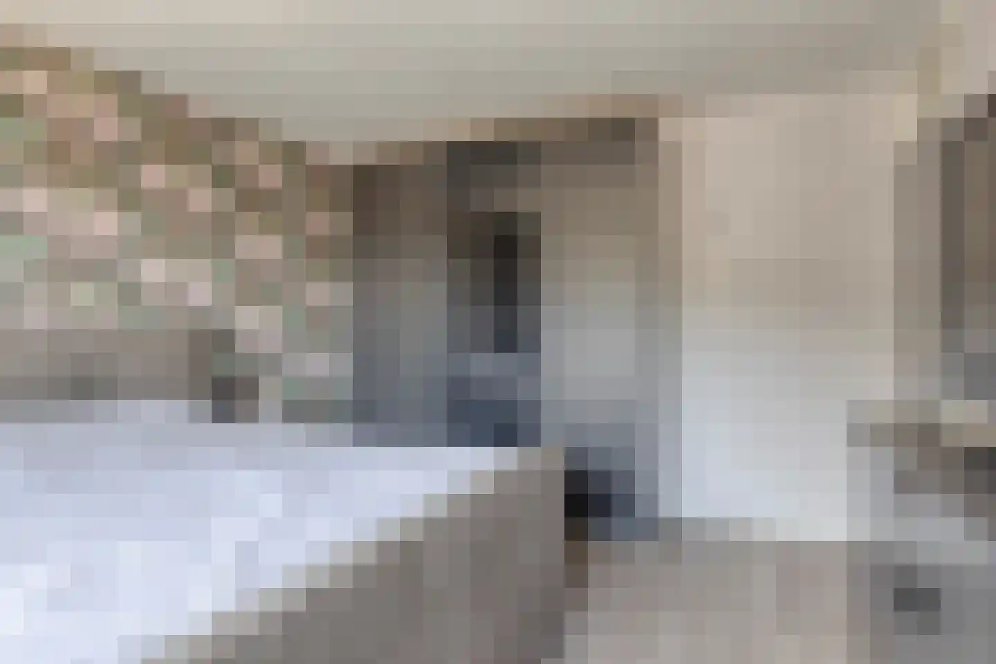 Populierenstraat 96 Goes thumbnail 17