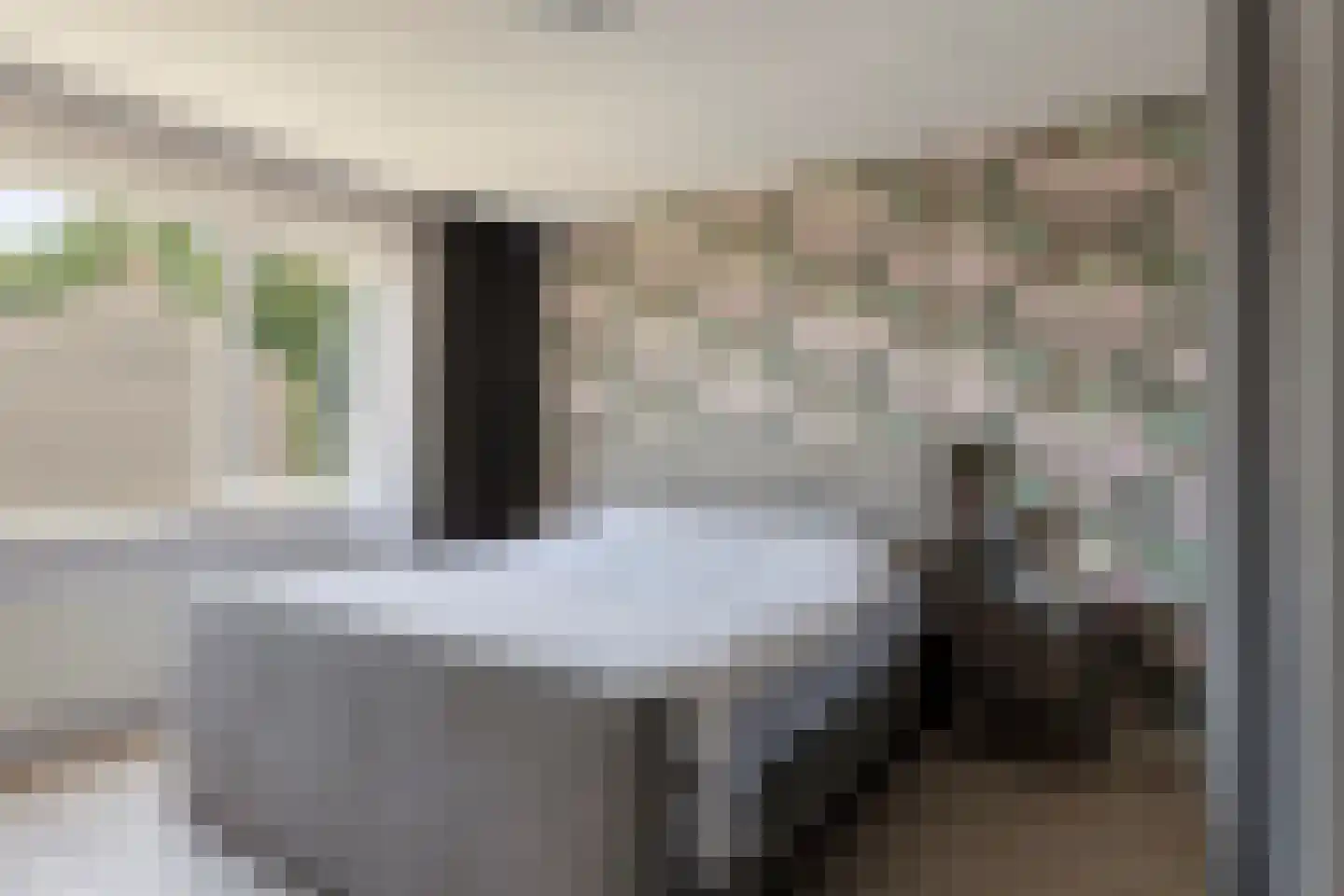 Populierenstraat 96 Goes thumbnail 18
