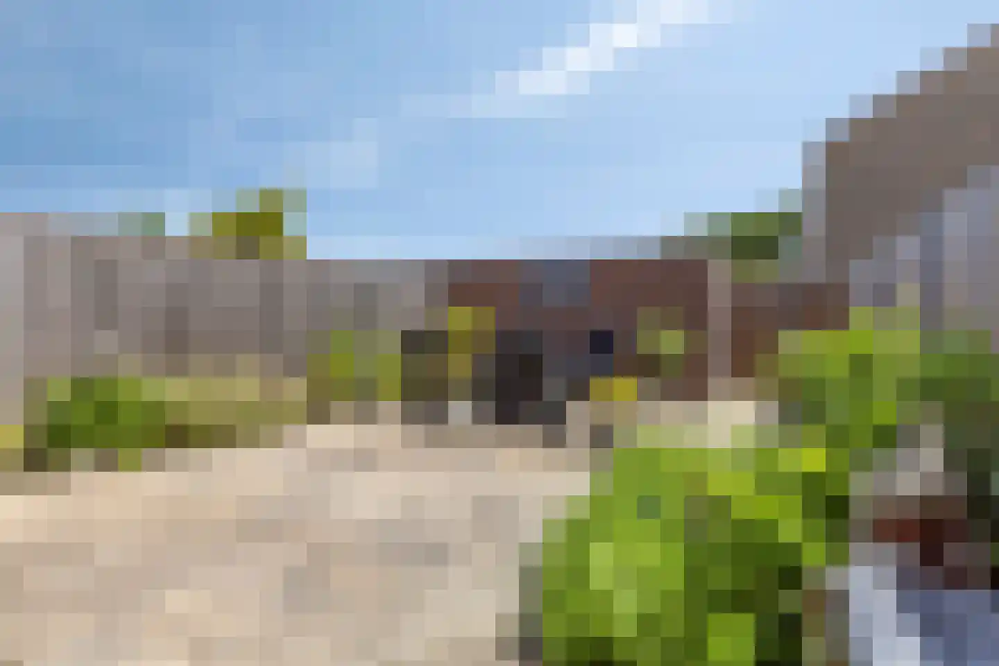 Populierenstraat 96 Goes thumbnail 33