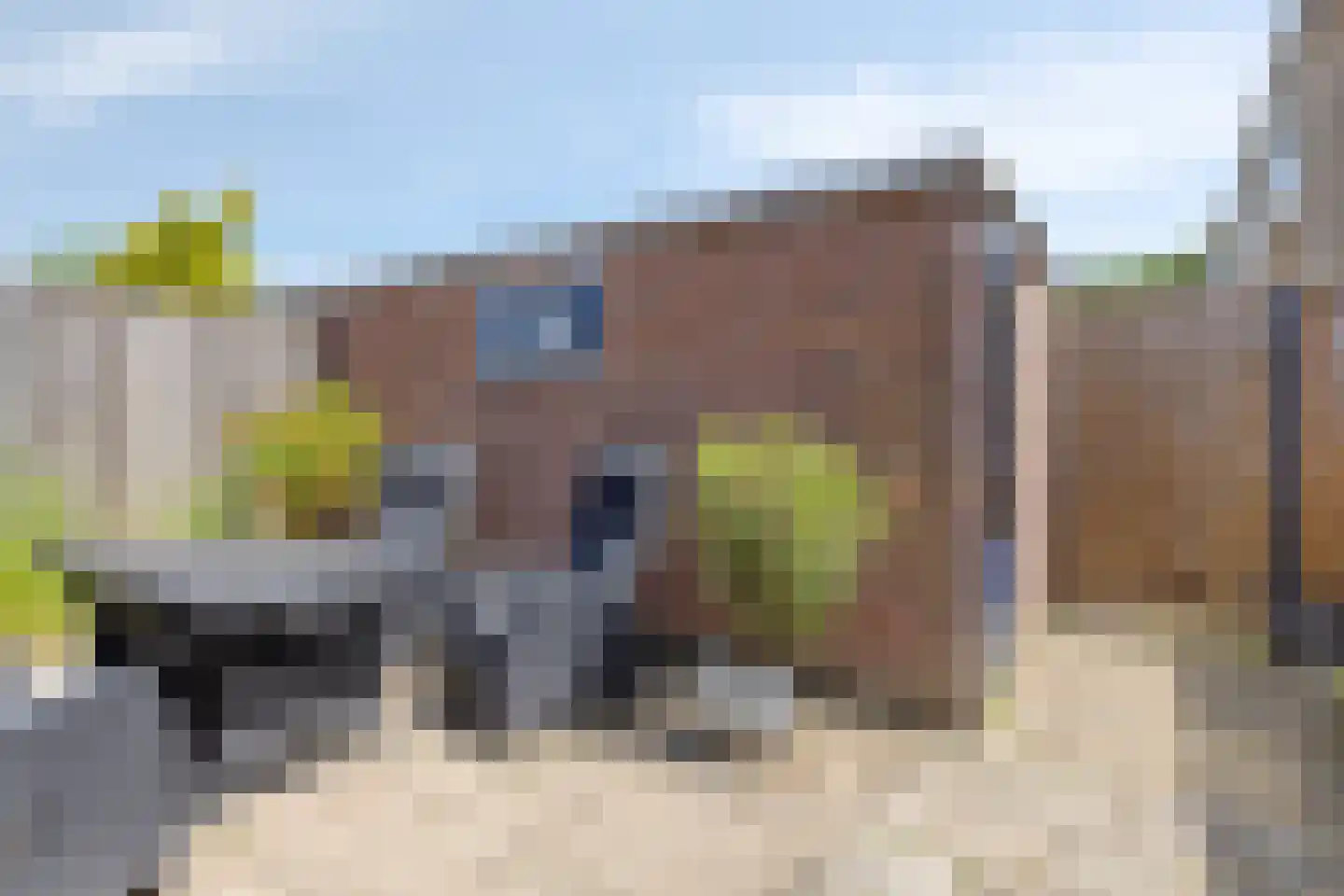 Populierenstraat 96 Goes thumbnail 35