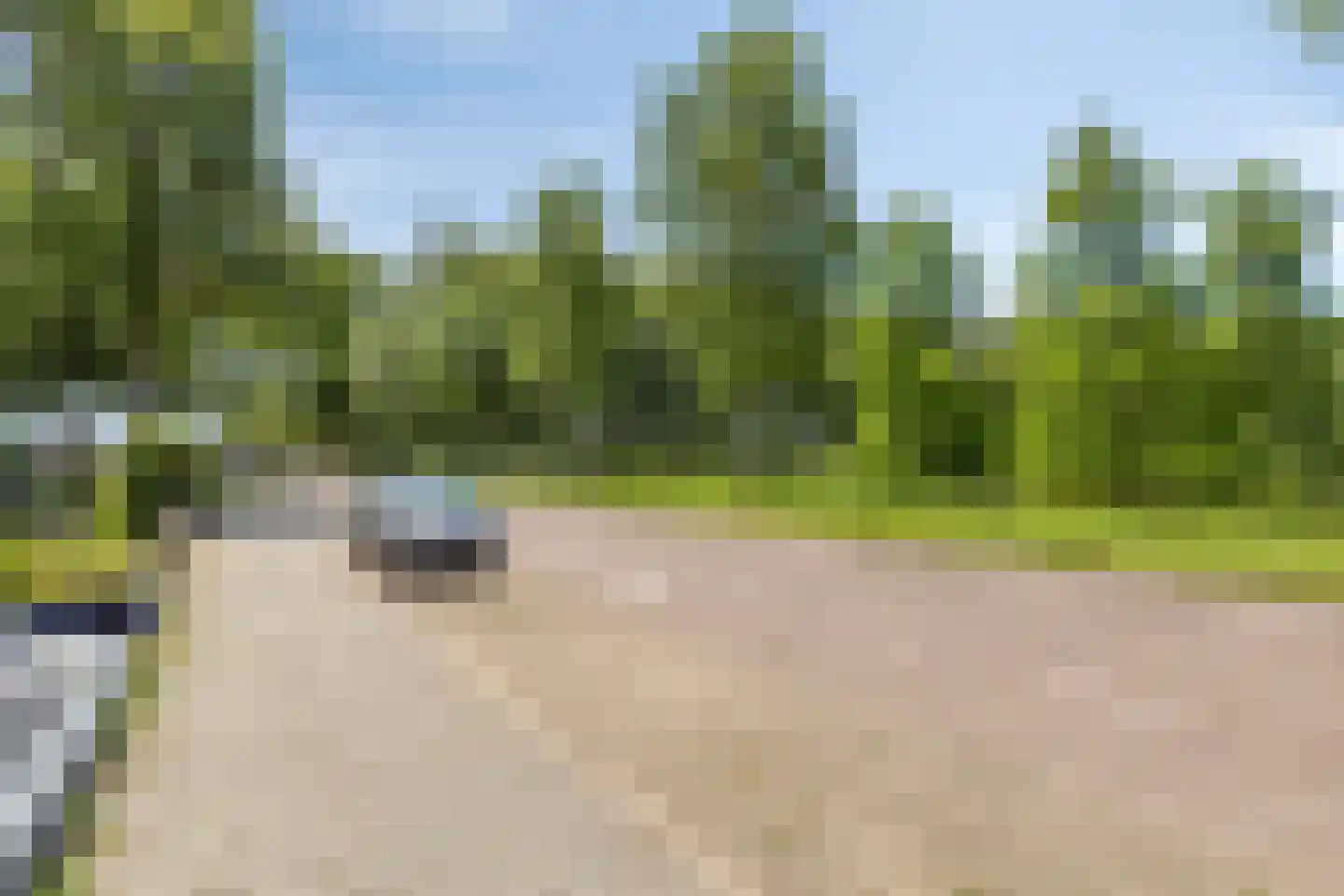 Populierenstraat 96 Goes thumbnail 40