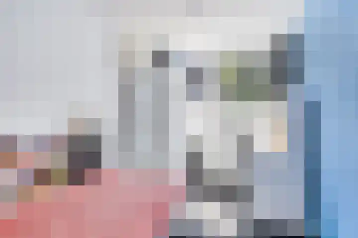Populierenweg 2 Eindhoven thumbnail 28