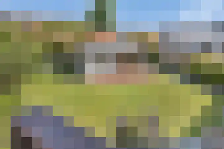 Populierenweg 2 Eindhoven thumbnail 36