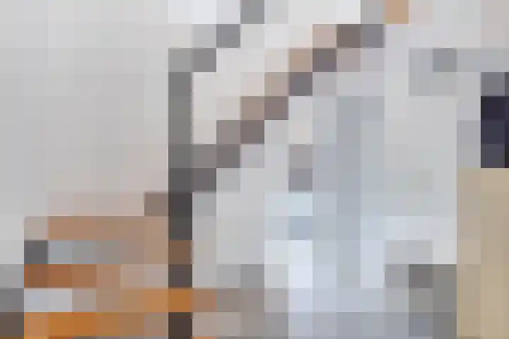 Populierenweg 2 Eindhoven thumbnail 6