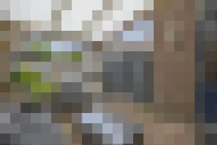 Populierenweg 3 Winschoten thumbnail 27