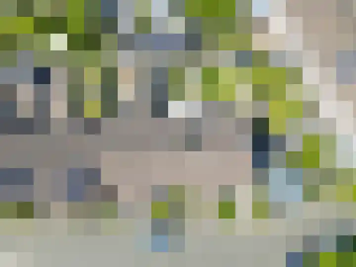 Populierenweg 3 Winschoten thumbnail 30