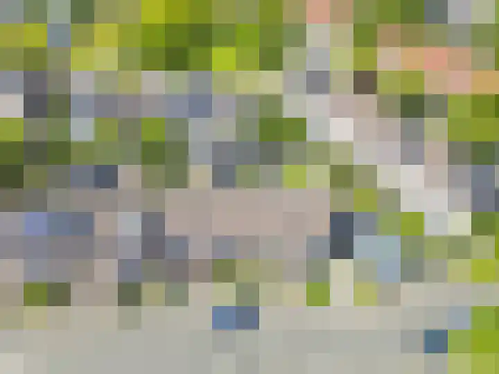 Populierenweg 3 Winschoten thumbnail 31