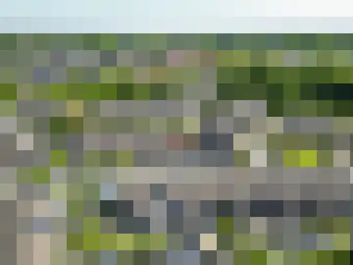Populierenweg 3 Winschoten thumbnail 32