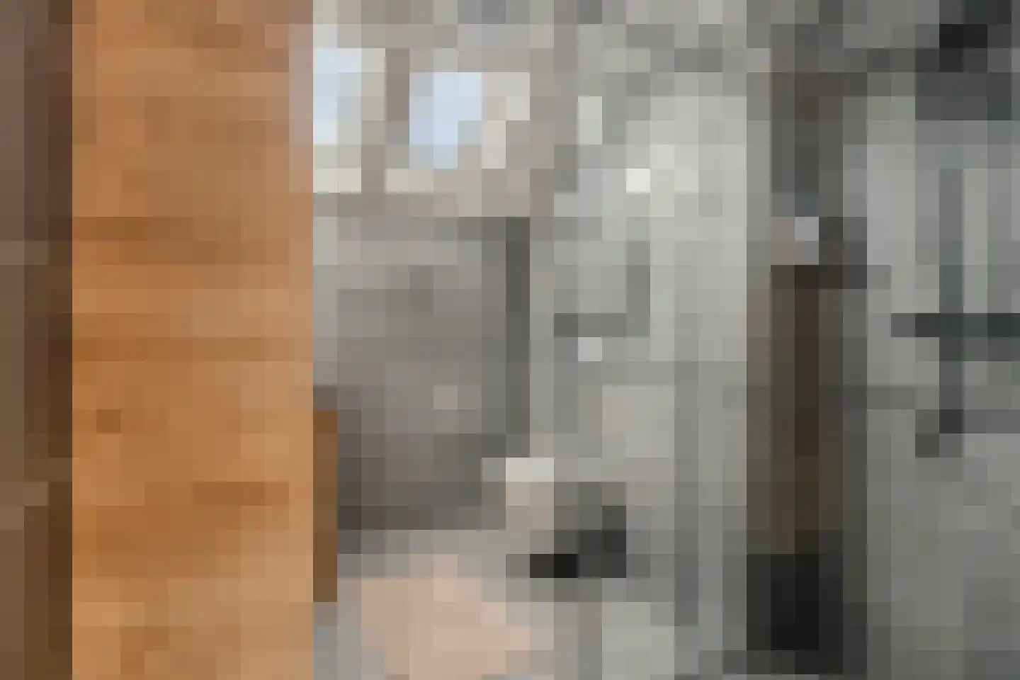 Populierenweg 3 Winschoten thumbnail 32