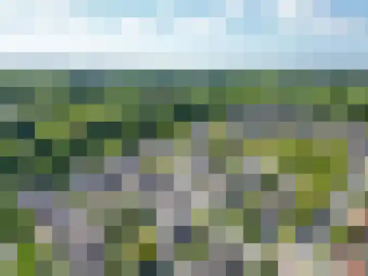 Populierenweg 3 Winschoten thumbnail 33