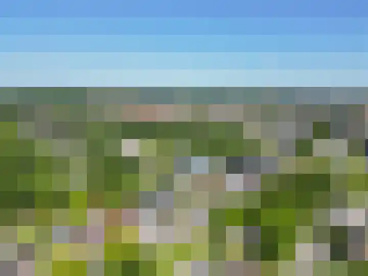 Populierenweg 3 Winschoten thumbnail 34