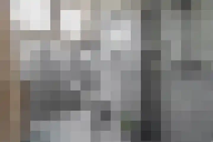 Populierenweg 3 Winschoten thumbnail 4