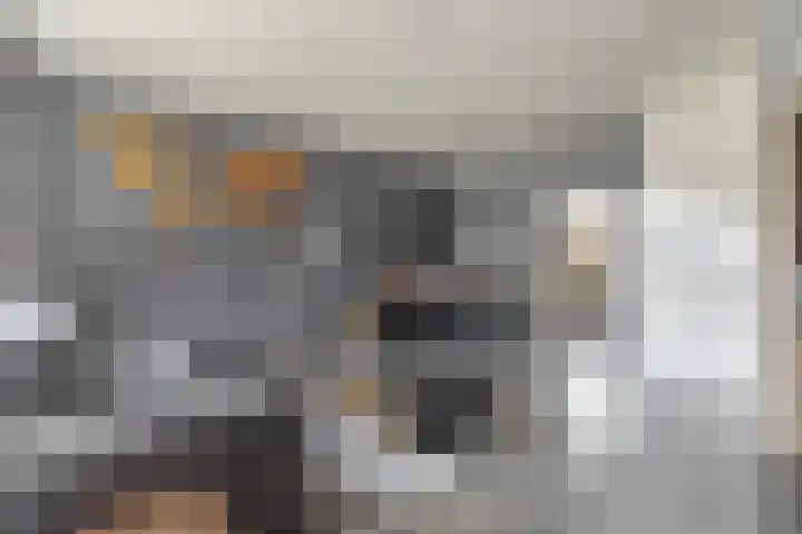 Populierenweg 3 Winschoten thumbnail 9