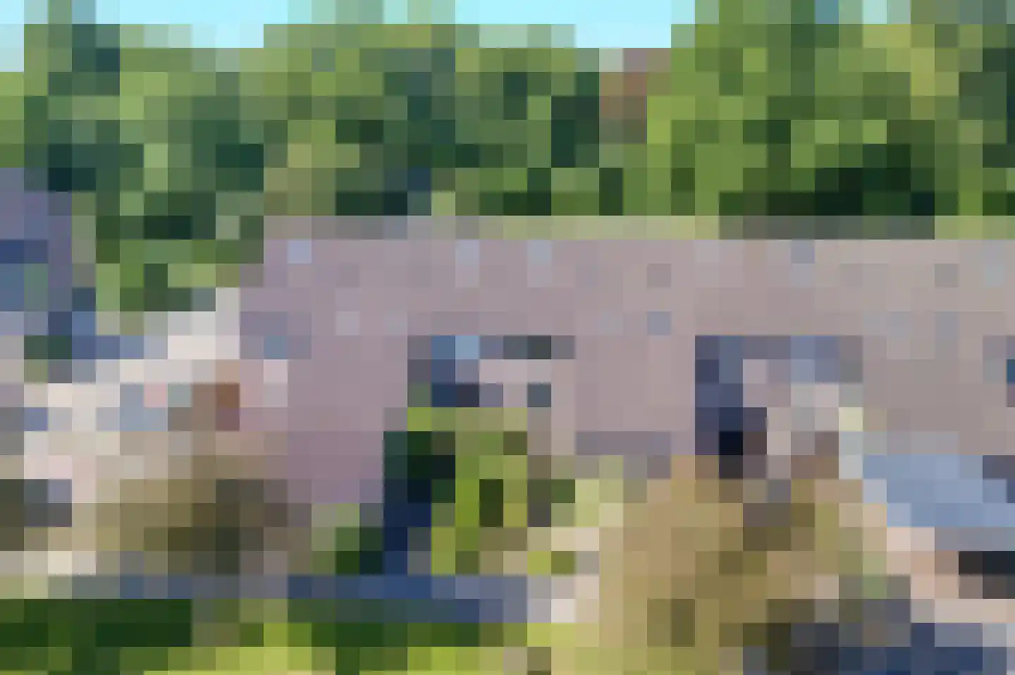 Populierenweg 38 Winschoten thumbnail 5