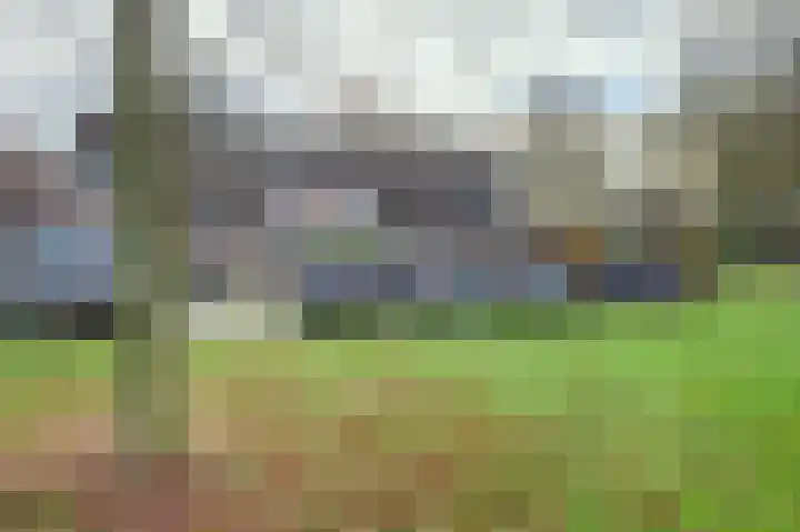 Populierenweg 50 Winschoten thumbnail 4