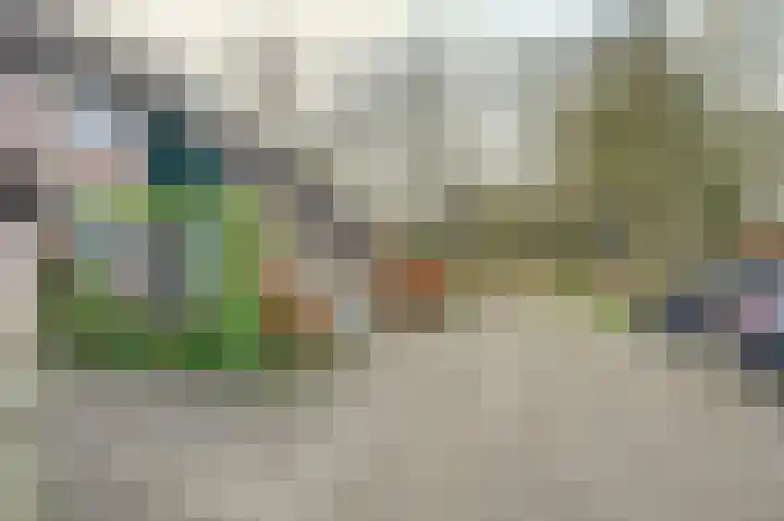 Populierenweg 50 Winschoten thumbnail 5