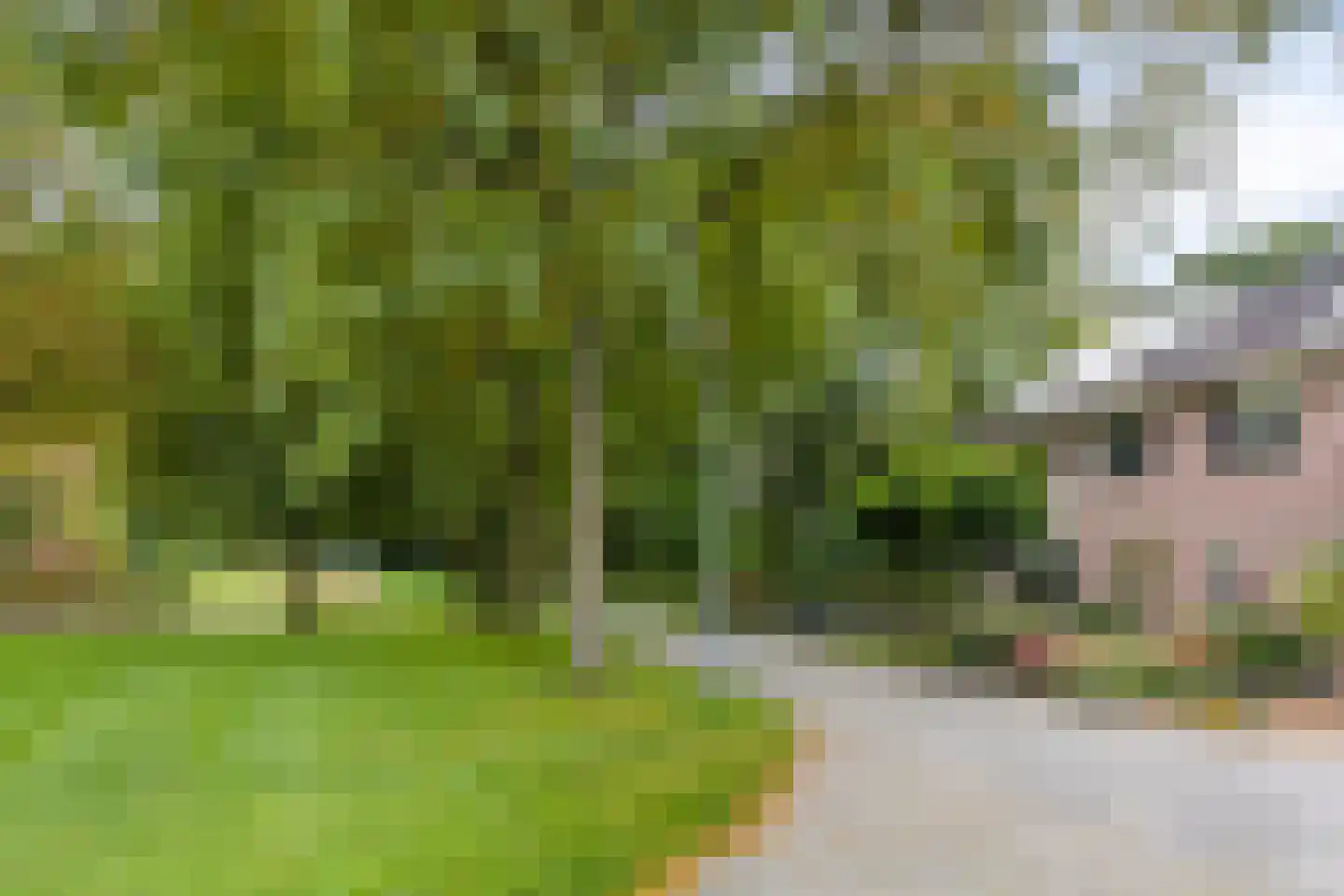 Populierenweg 54 Winschoten thumbnail 10