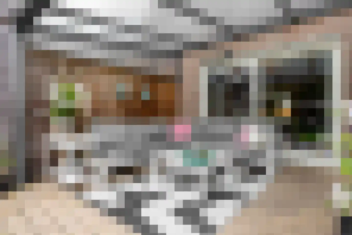 Populierenweg 54 Winschoten thumbnail 33
