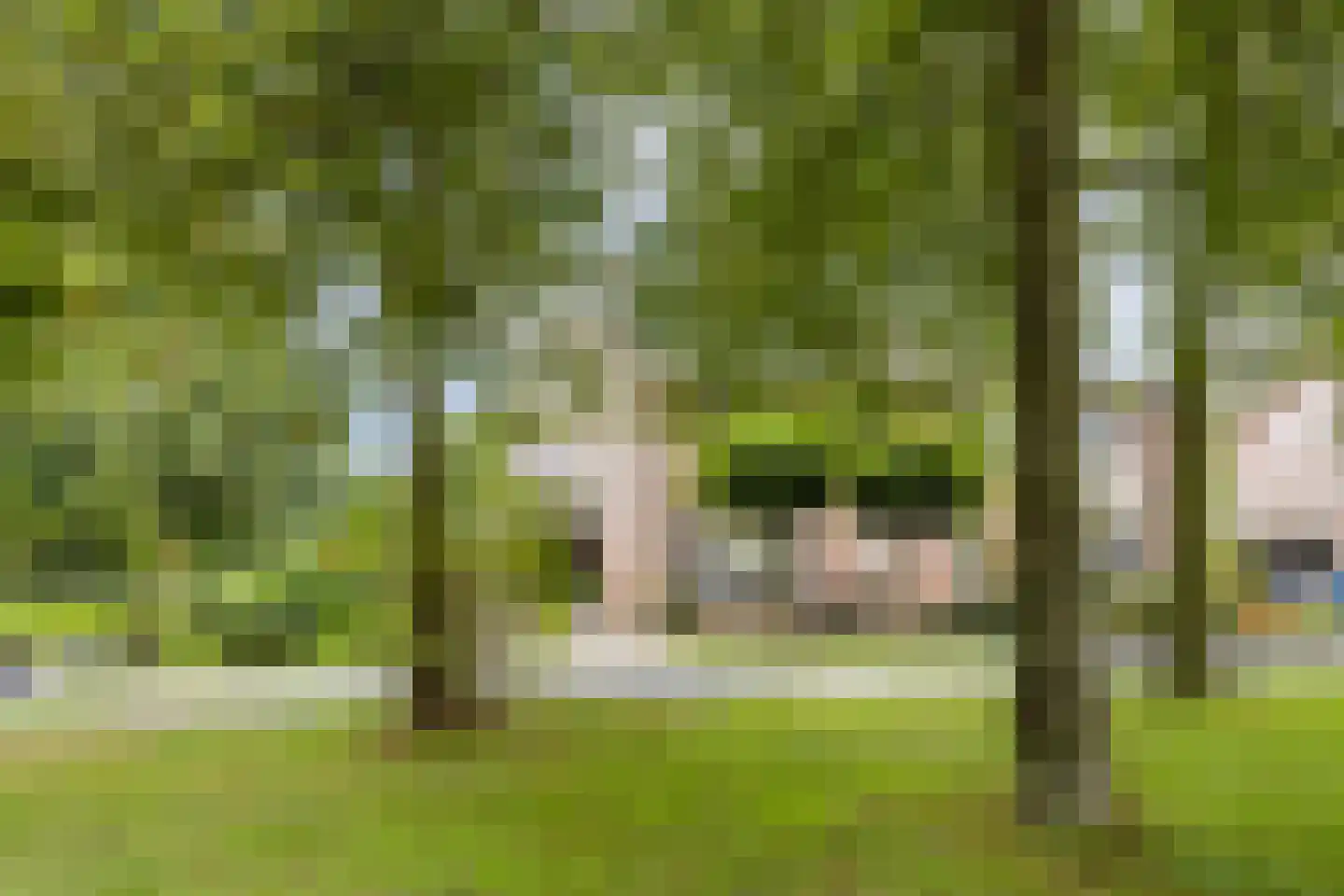 Populierenweg 54 Winschoten thumbnail 9