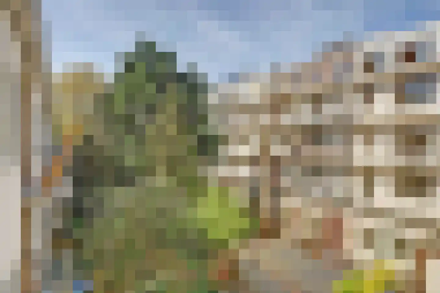 Populierenweg 58 C Amsterdam thumbnail 13
