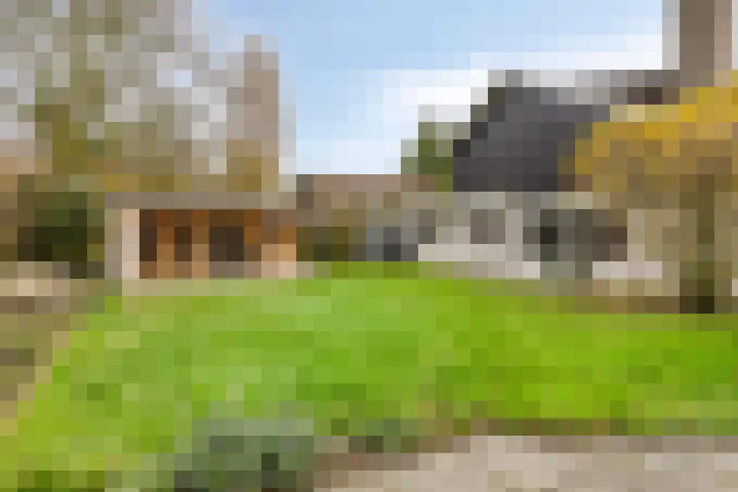 Populierestraat 11 's-Gravenpolder thumbnail 4