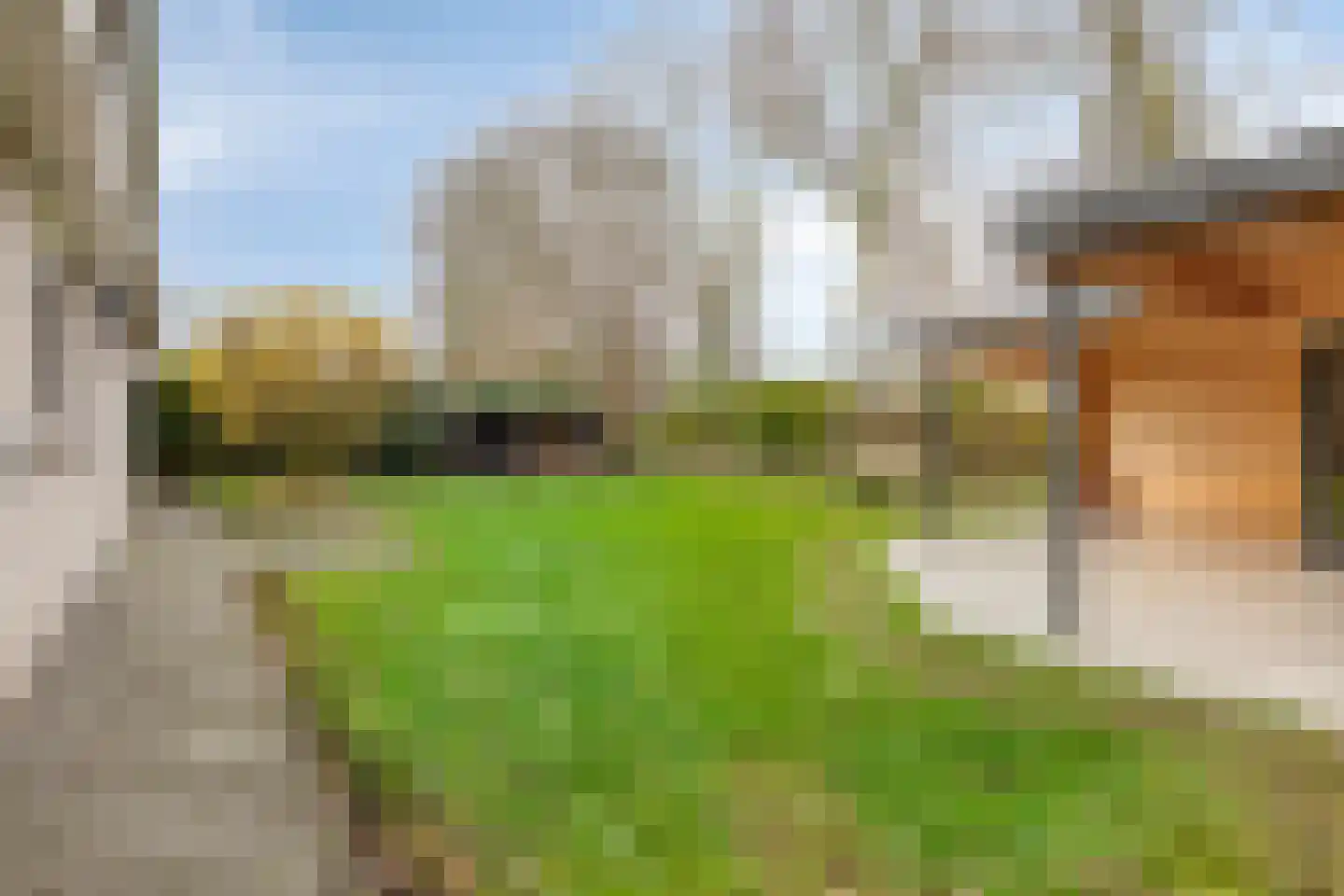 Populierestraat 11 's-Gravenpolder thumbnail 43