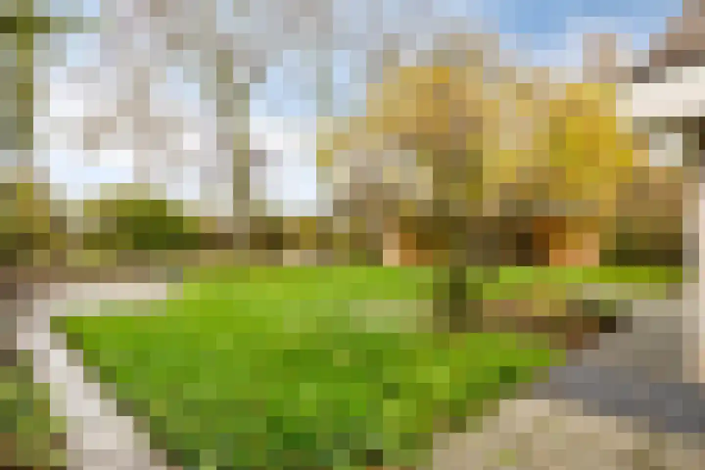 Populierestraat 11 's-Gravenpolder thumbnail 47