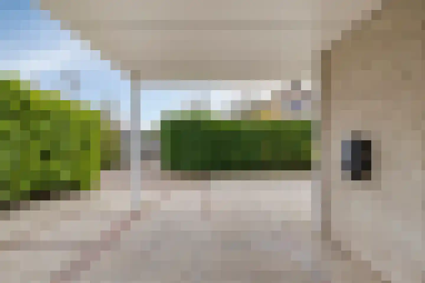 Populierestraat 11 's-Gravenpolder thumbnail 51