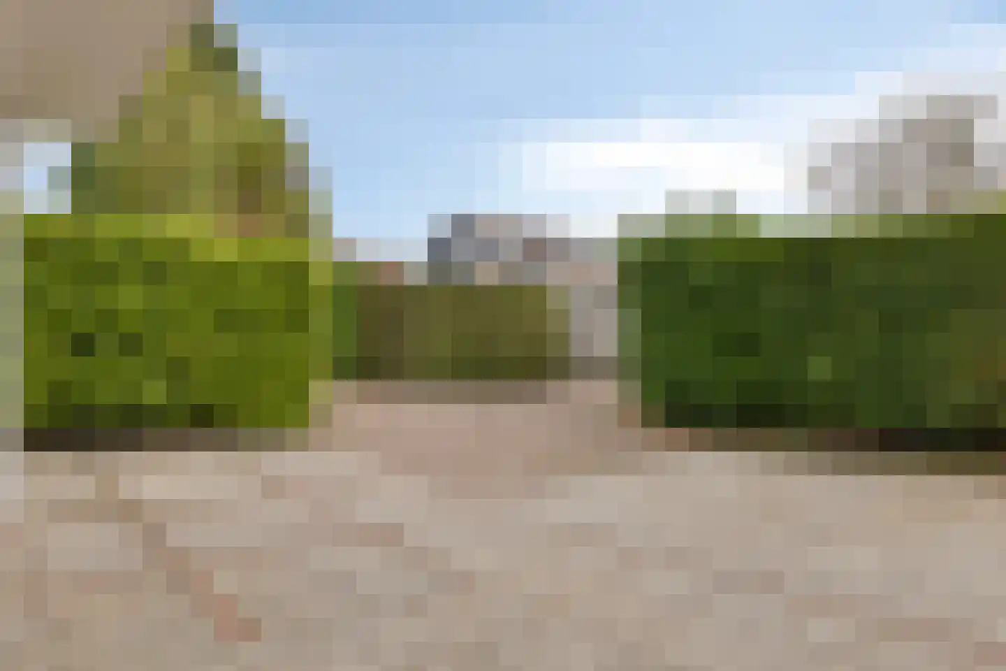 Populierestraat 11 's-Gravenpolder thumbnail 52