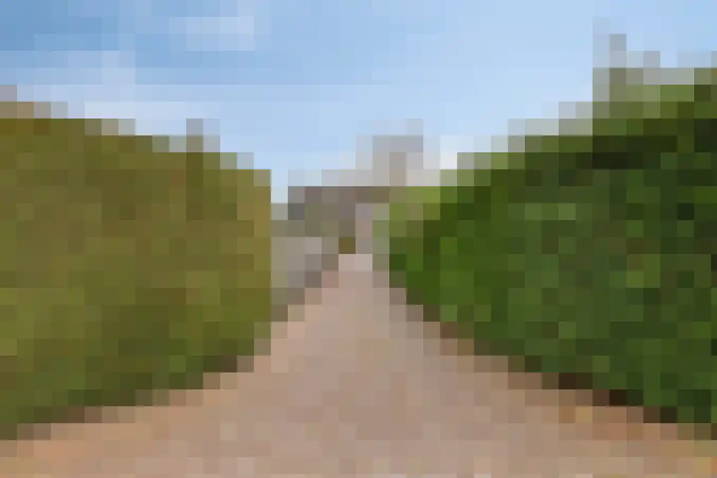 Populierestraat 11 's-Gravenpolder thumbnail 53