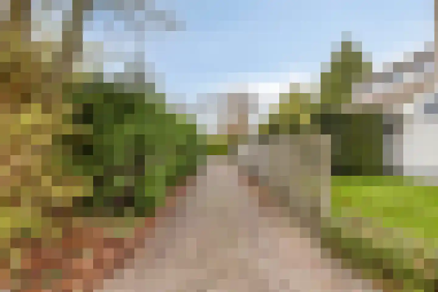 Populierestraat 11 's-Gravenpolder thumbnail 54