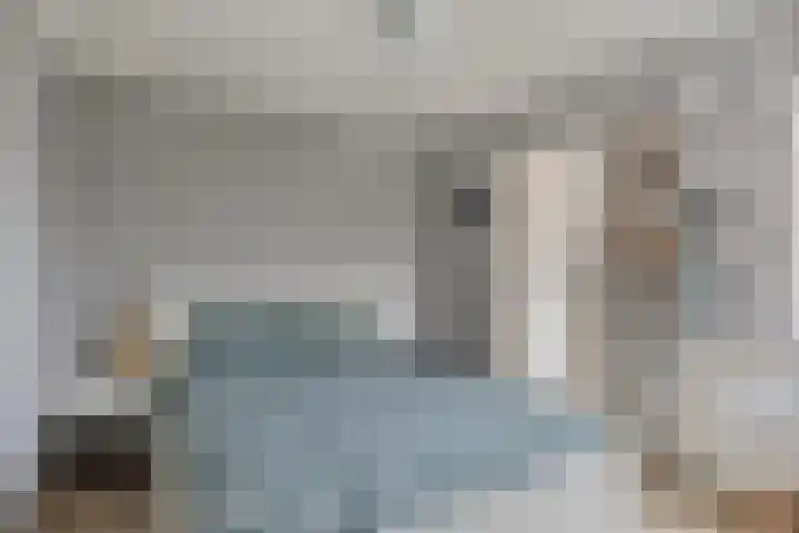 Populierestraat 12 's-Gravenpolder thumbnail 23