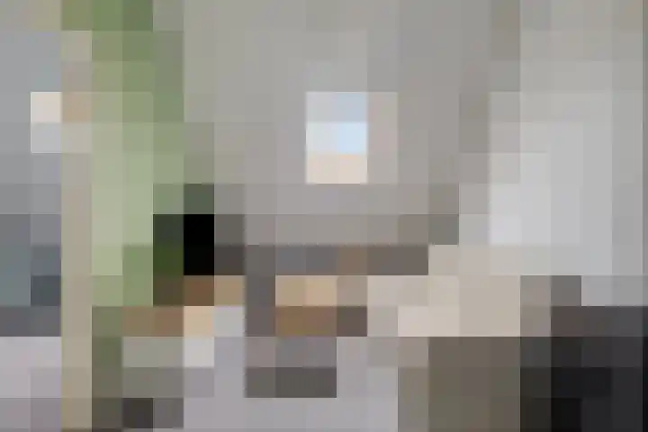 Populierestraat 12 's-Gravenpolder thumbnail 30