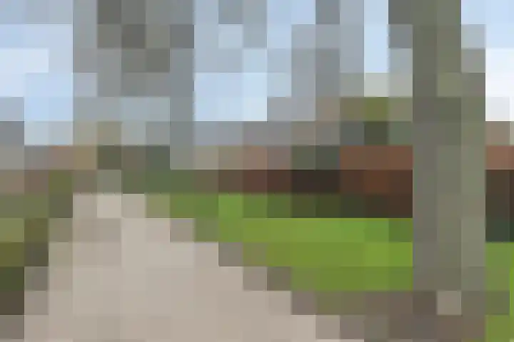 Populierestraat 12 's-Gravenpolder thumbnail 37