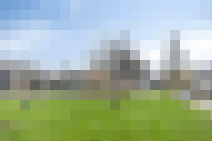 Populierestraat 12 's-Gravenpolder thumbnail 38