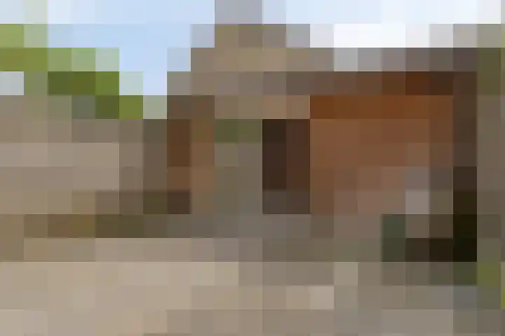 Populierestraat 14 's-Gravenpolder thumbnail 18