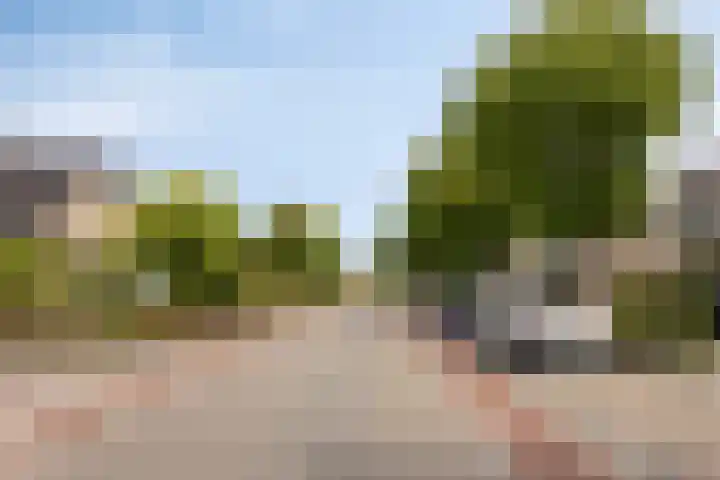 Populierestraat 14 's-Gravenpolder thumbnail 22