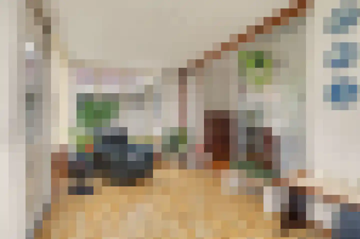 Populierestraat 15 's-Gravenpolder thumbnail 17