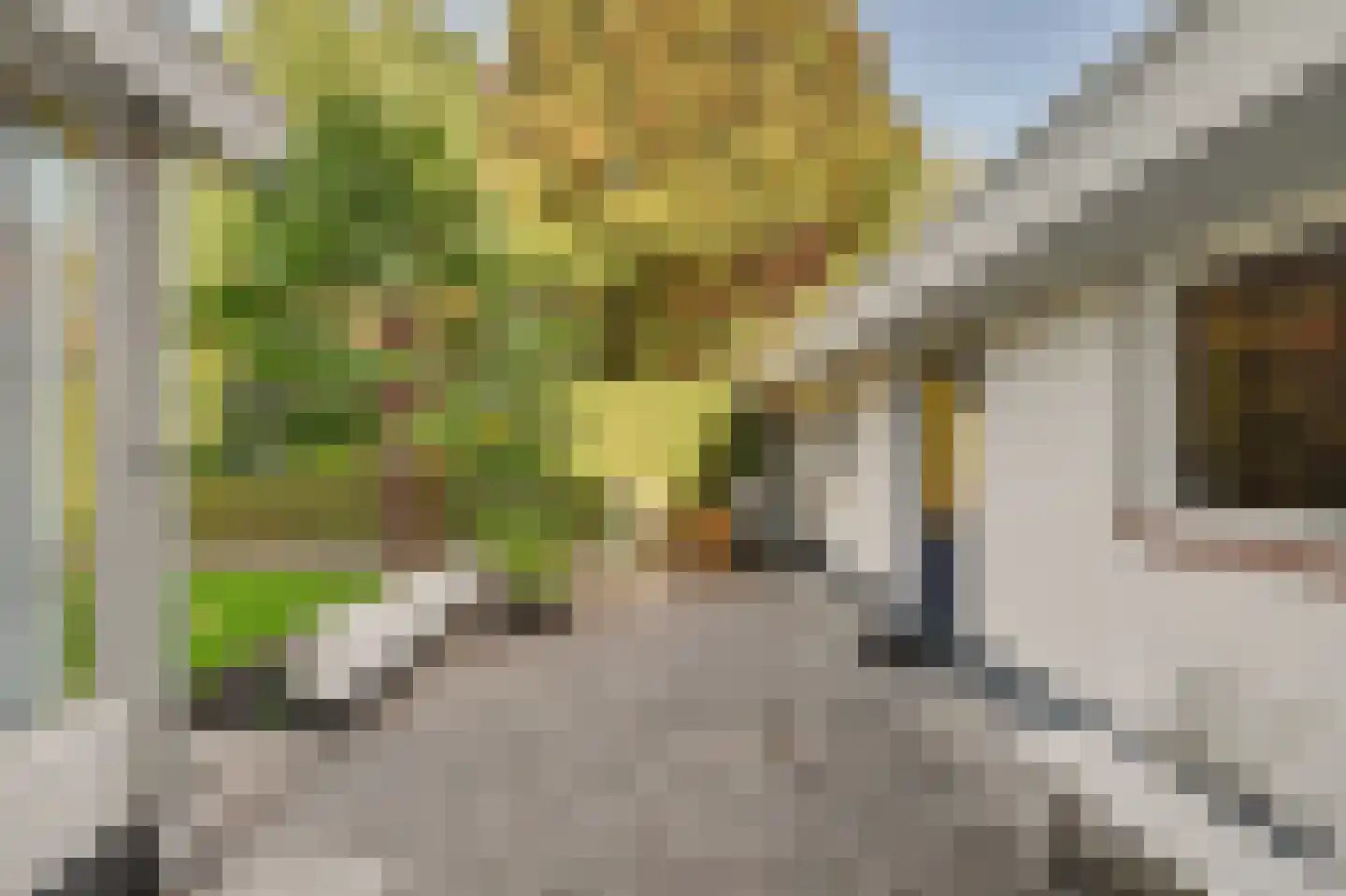 Populierestraat 15 's-Gravenpolder thumbnail 49