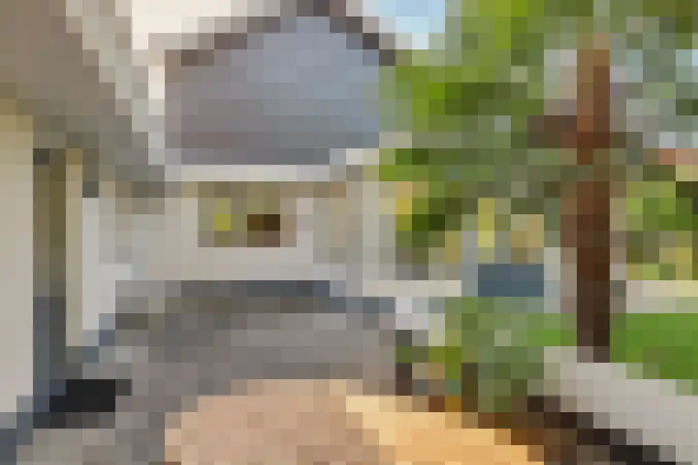 Populierestraat 15 's-Gravenpolder thumbnail 50
