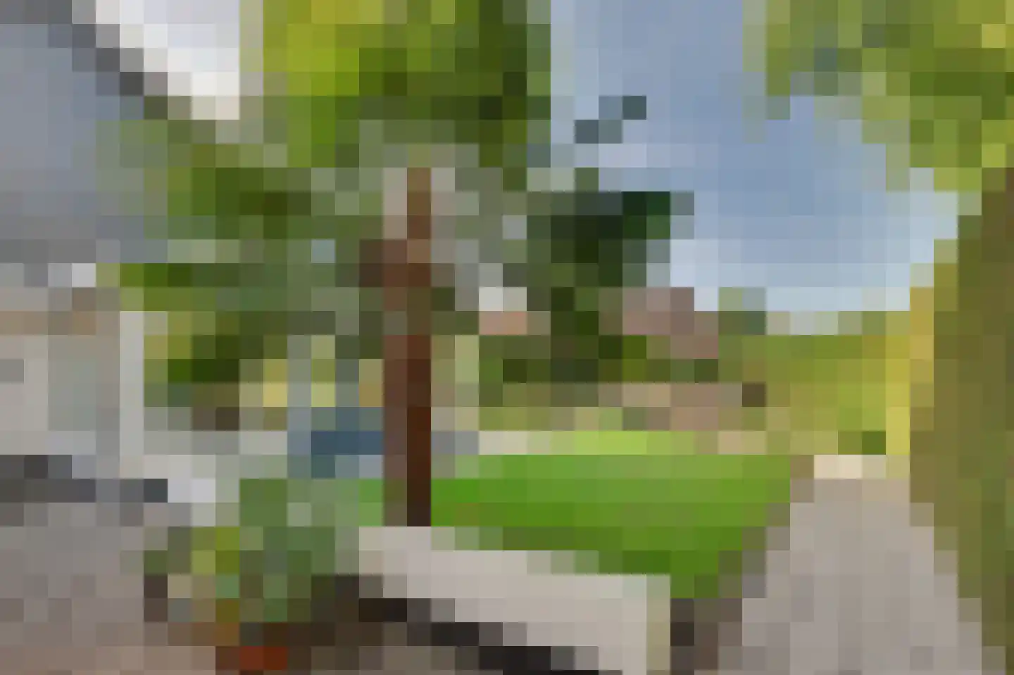 Populierestraat 15 's-Gravenpolder thumbnail 51