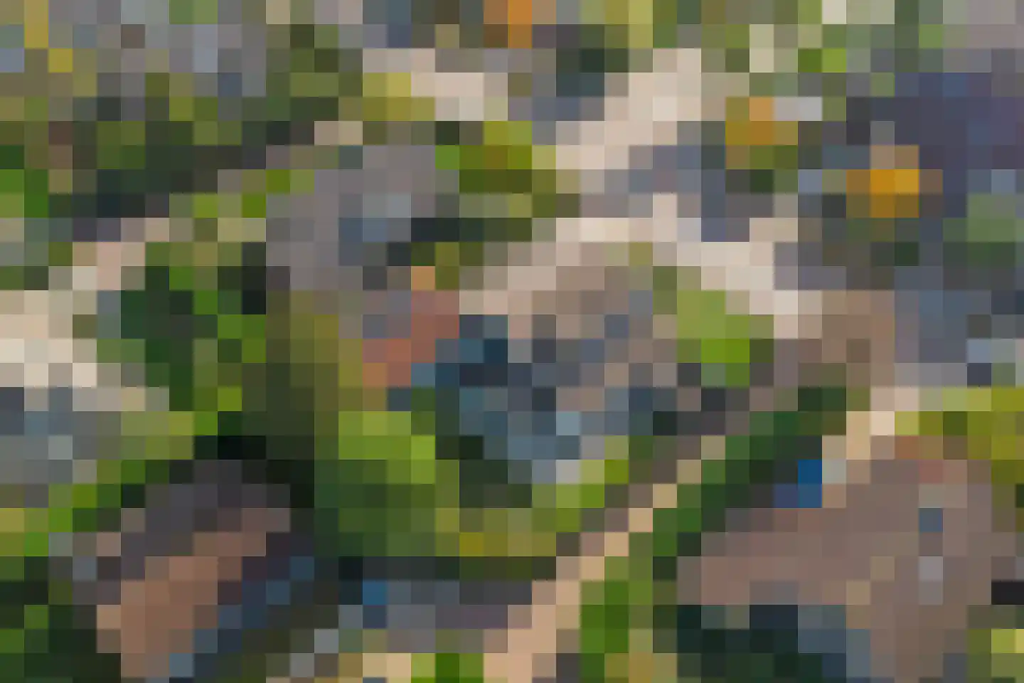 Populierestraat 15 's-Gravenpolder thumbnail 56