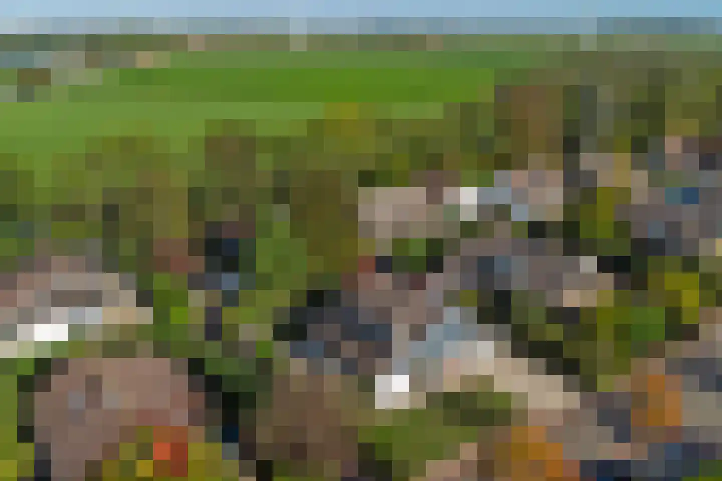 Populierestraat 15 's-Gravenpolder thumbnail 57