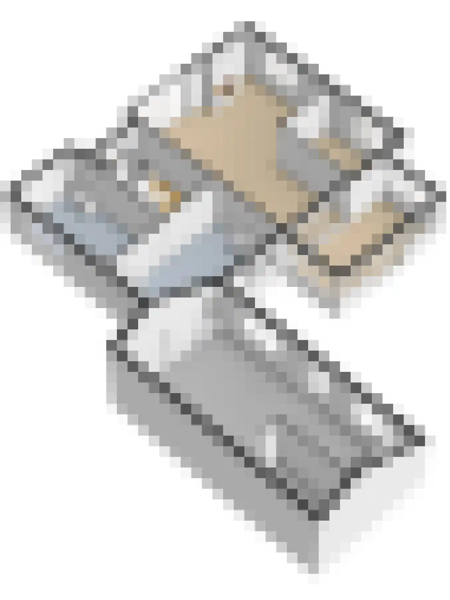 Populierestraat 15 's-Gravenpolder thumbnail 63