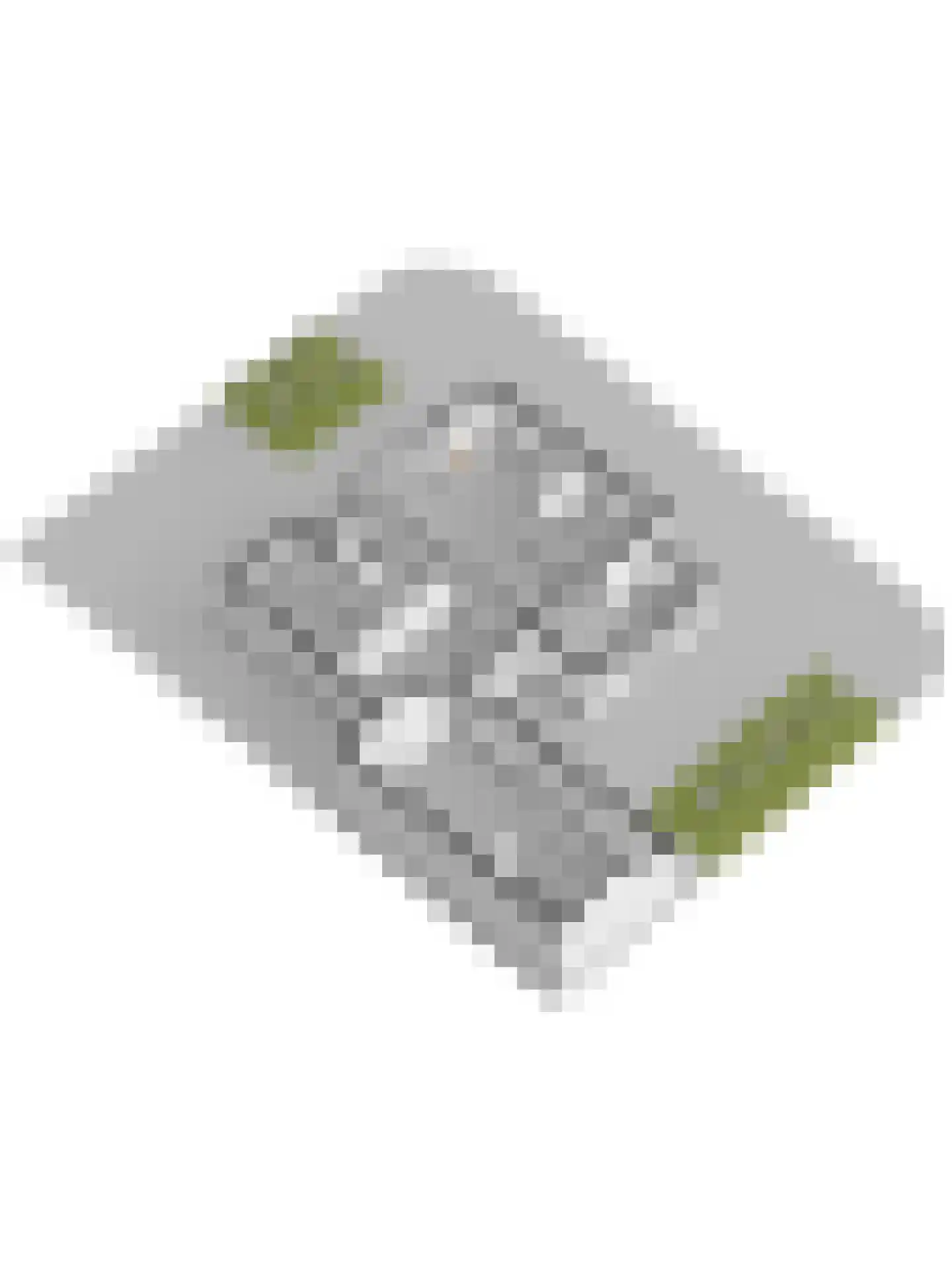 Populierestraat 15 's-Gravenpolder thumbnail 65