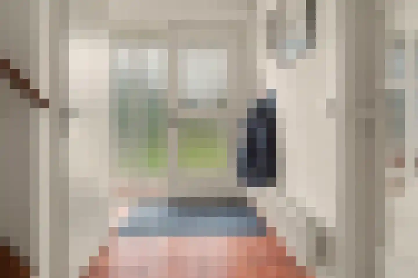 Populierestraat 15 's-Gravenpolder thumbnail 7