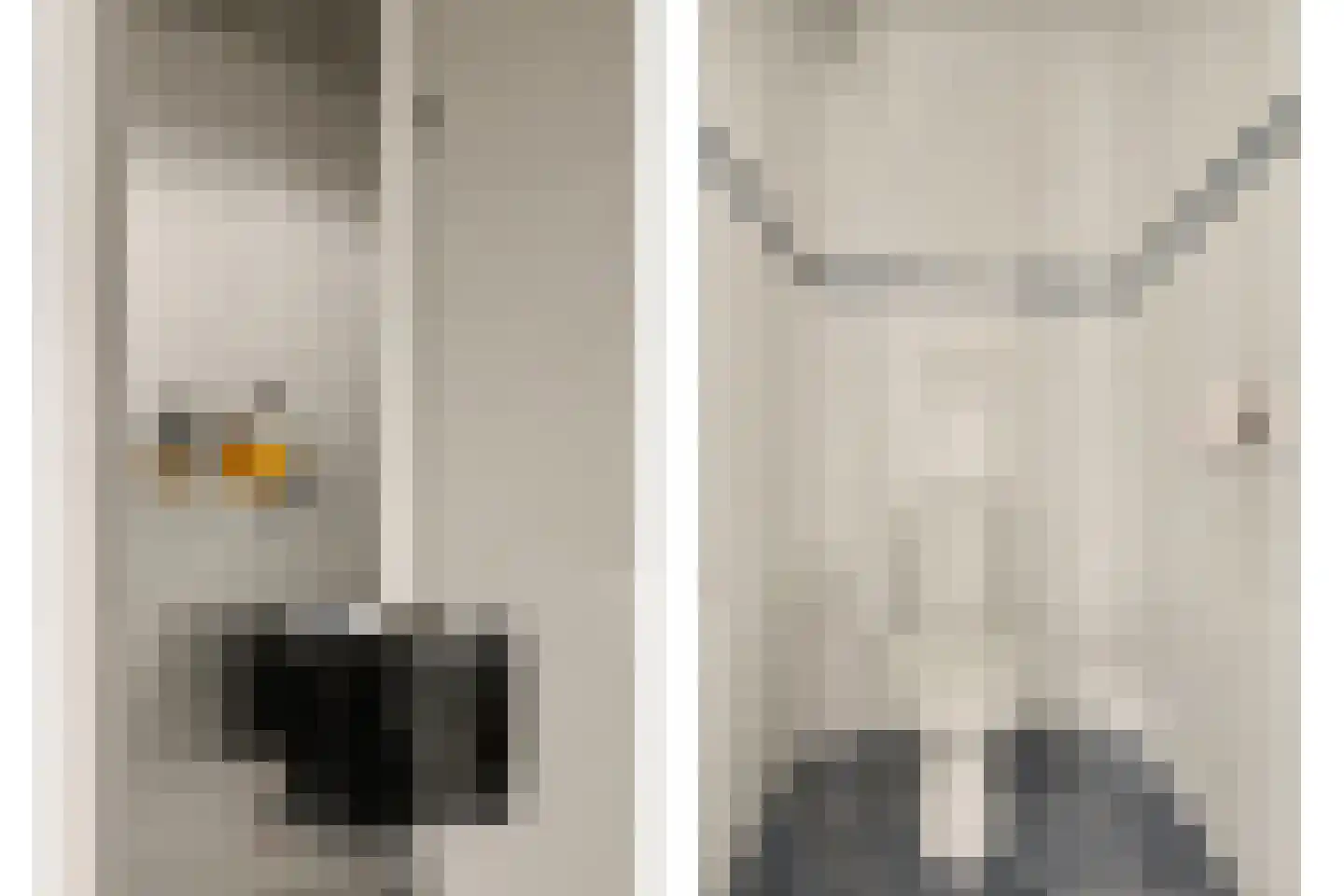 Populierestraat 15 's-Gravenpolder thumbnail 8