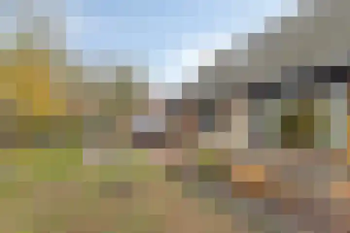 Populierestraat 19 's-Gravenpolder thumbnail 30