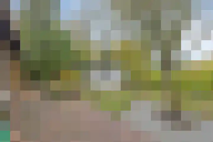 Populierestraat 19 's-Gravenpolder thumbnail 31