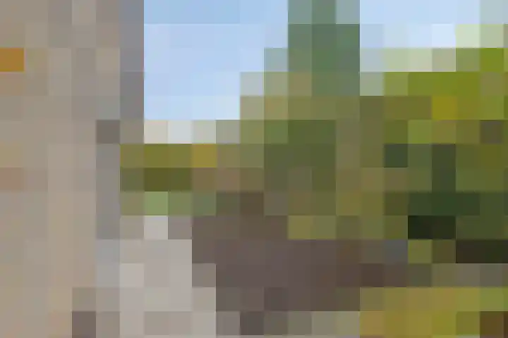 Populierestraat 19 's-Gravenpolder thumbnail 32